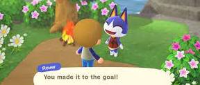 Animal Crossing New Horizons